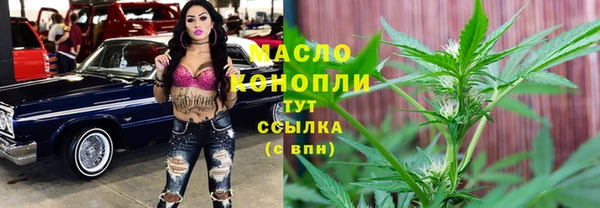 гидра Приозерск
