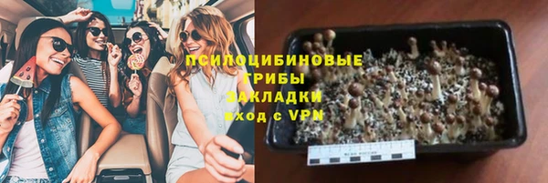 ешки Абаза