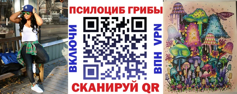 дарнет шоп Избербаш Псилоцибиновые грибы MAGIC MUSHROOMS