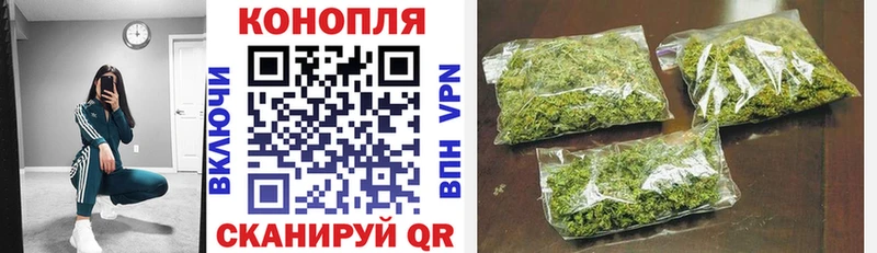 Канабис сатива Избербаш